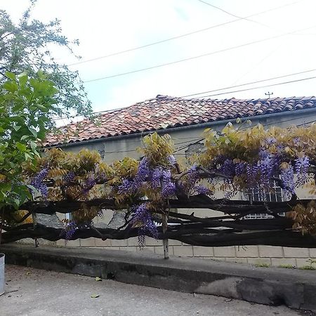 Tlt Guest House Telavi Exterior foto