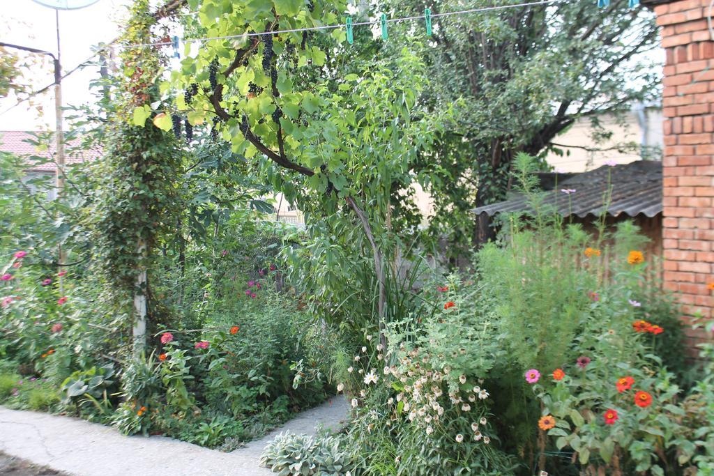 Tlt Guest House Telavi Exterior foto