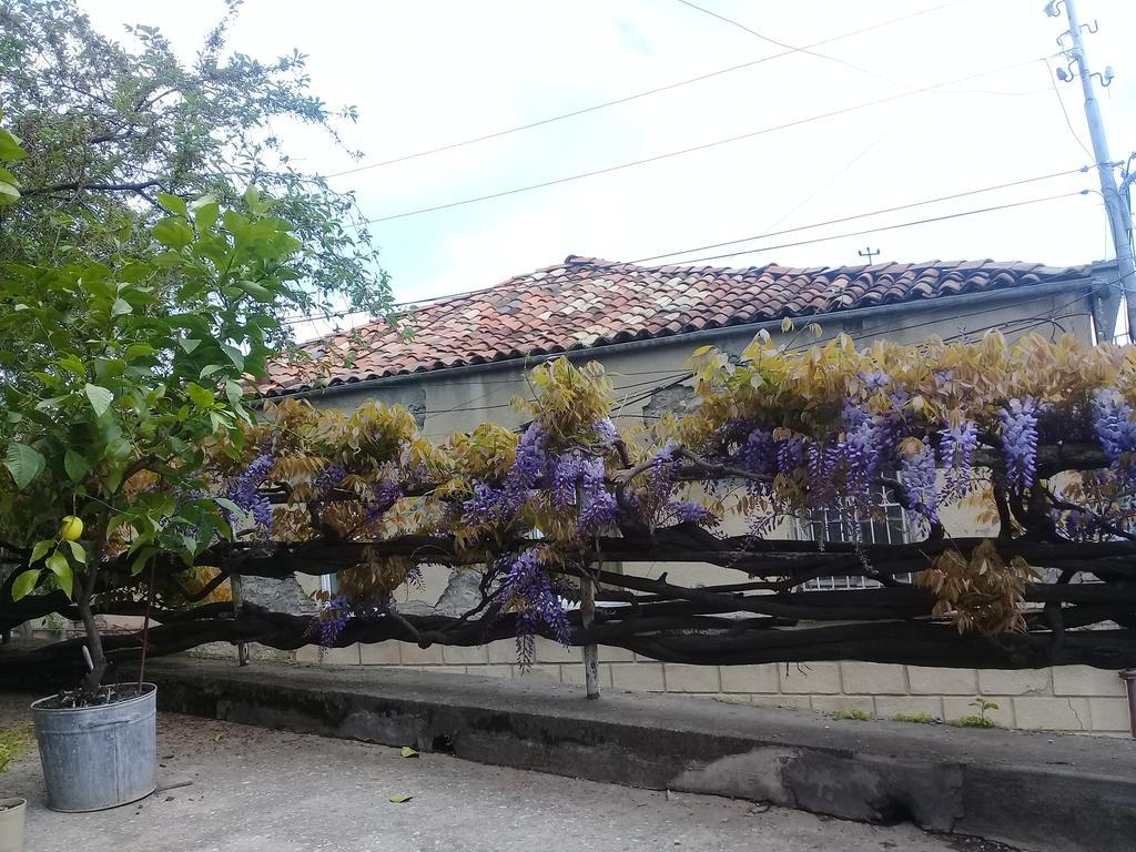 Tlt Guest House Telavi Exterior foto